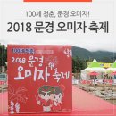 적성교 - 남양주시 | 문경 특산물 오미자 :: 2018 문경 오미자 축제 후기