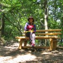 완주 편백숲 관광안내소 이미지