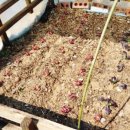 쉘부르황토펜션 이미지