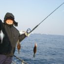 관광 꿈꾸는숲 펜션 이미지