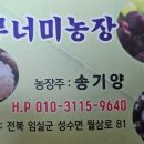 무너미농장 네이버블로그