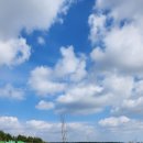 제주파크장 이미지