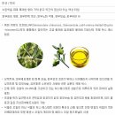 세방오일 이미지