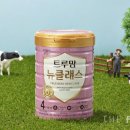 일동후디스