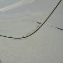 이수모터스 이미지