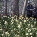 주식회사 제주정보통신 이미지