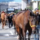 무명축산