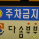 임다솜 이미지