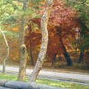 #883 셀프인테리어 공사 전후 (프롤로그)