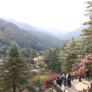 고요산책 Daum카페