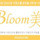 비즈블룸