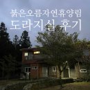 [제주/숙소] 붉은오름자연휴양림 삼나무동 도라지실 - 후기