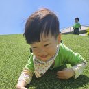 왓섬 이미지