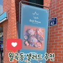 샐러드프린세스 이미지