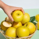 (주)더조은 이미지