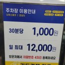 인동낚시터 | 구미 인동에 위치한 실내낚시터 물만난고기 체험이야기