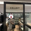 콜렉트강남 | 신세계 강남 콜렉트 안경 후기
