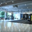 무브먼트 프로젝트 이미지