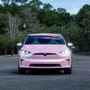 BLOSSOM 20 | Teckwrap Electric Chrome Cherry Blossom Pink. (ECH22)