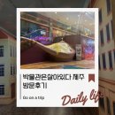 박물관은살아있다 | 제주 액티비티 데이트 코스 도전! 런닝맨 박물관은 살아있다 완벽 후기