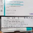 시엘병원 | [난임] 광주 시엘병원 시험관 과배란 주사, 난자채취 후기