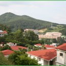 빈하우스 이미지