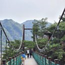 개울달천 이미지