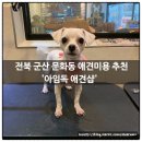 아임독 애견샵 이미지