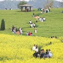 미래고속관광(주) 이미지