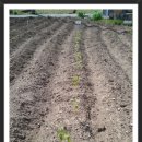 현재농장 이미지