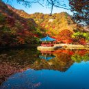 개군중학교 이미지