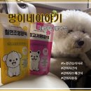 반려동물관리사 | [인천숭의동]축구전용경기장 인천애견수제간식 강아지간식은 멍이네이야기