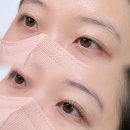 에이치브로우 | [수원 속눈썹펌] 속눈썹 유목민 탈출 '에이치브랜드' 내돈내산 솔직 후기