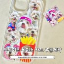 장보는강아지와고양이신미진 | 강아지 커스텀 맥세이프 핸드폰케이스 카드지갑 그립톡 주문제작 324store 플랫레이 내돈내산