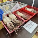 제주 목화휴게소 제주도 동쪽 성산 오션뷰 야장 반건조 오징어 맛집