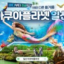 아쿠아 일간스포츠