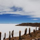 하늘과땅 이미지