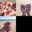 보니타네일두정점