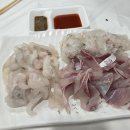 21호재진이네 이미지