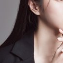 보며들다