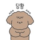 꼬망이펫샵