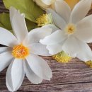 페이퍼플라워 토탈공예 이미지