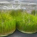 코지헤어 이미지