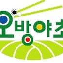 오방야초 네이버블로그