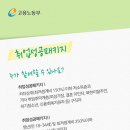 국제커리어센터 이미지
