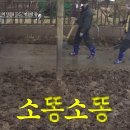 일구목장 티스토리