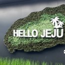 볼다 이미지