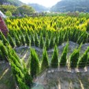 지포공원 옆 이미지