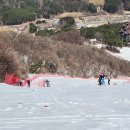 2024 설상 기술 세미나 - 산악스키 이미지
