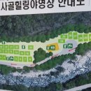 뱀사골산야초 이미지